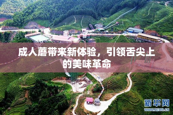 成人蘑带来新体验，引领舌尖上的美味革命