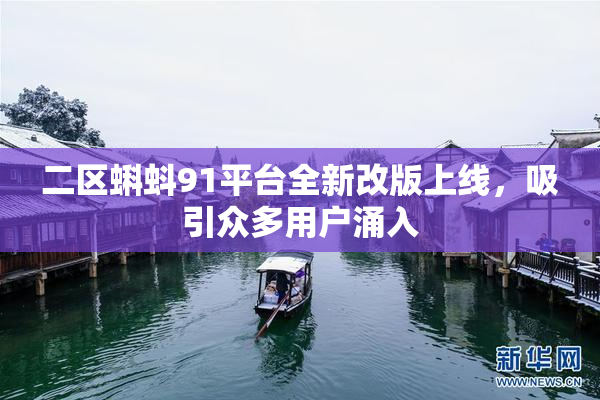 二区蝌蚪91平台全新改版上线，吸引众多用户涌入
