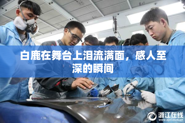 白鹿在舞台上泪流满面，感人至深的瞬间