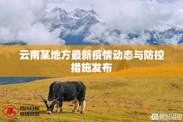 云南某地方最新疫情动态与防控措施发布