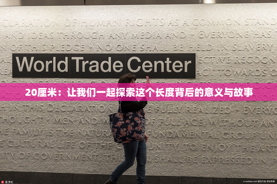 20厘米：让我们一起探索这个长度背后的意义与故事