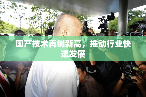 国产技术再创新高，推动行业快速发展