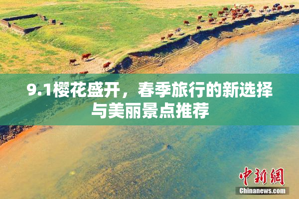 9.1樱花盛开，春季旅行的新选择与美丽景点推荐