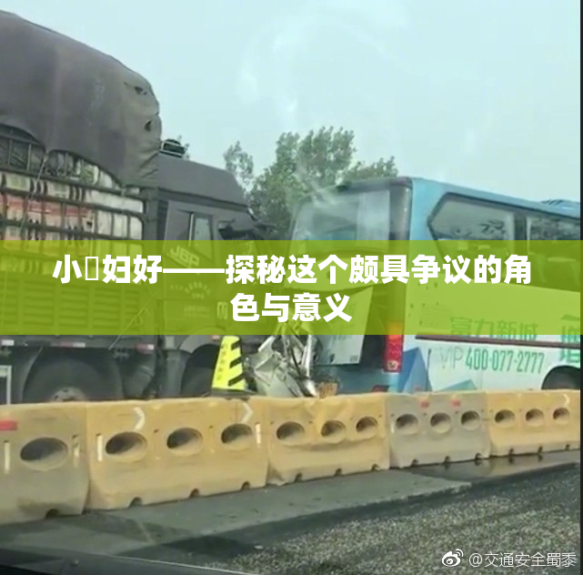 小婬妇好——探秘这个颇具争议的角色与意义