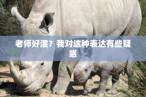 老师好湿？我对这种表达有些疑惑