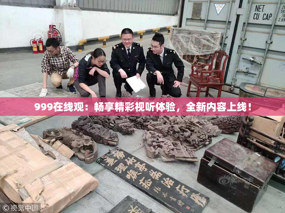 999在线观：畅享精彩视听体验，全新内容上线！