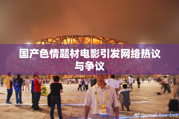 国产色情题材电影引发网络热议与争议