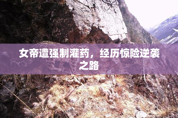 女帝遭强制灌药，经历惊险逆袭之路