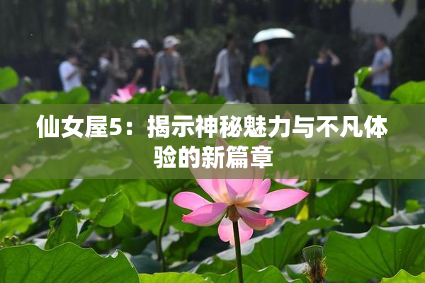 仙女屋5：揭示神秘魅力与不凡体验的新篇章