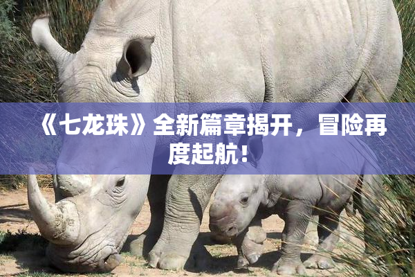 《七龙珠》全新篇章揭开，冒险再度起航！