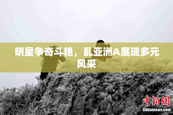 明星争奇斗艳，乱亚洲A展现多元风采
