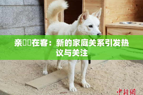 亲妺妺在客：新的家庭关系引发热议与关注
