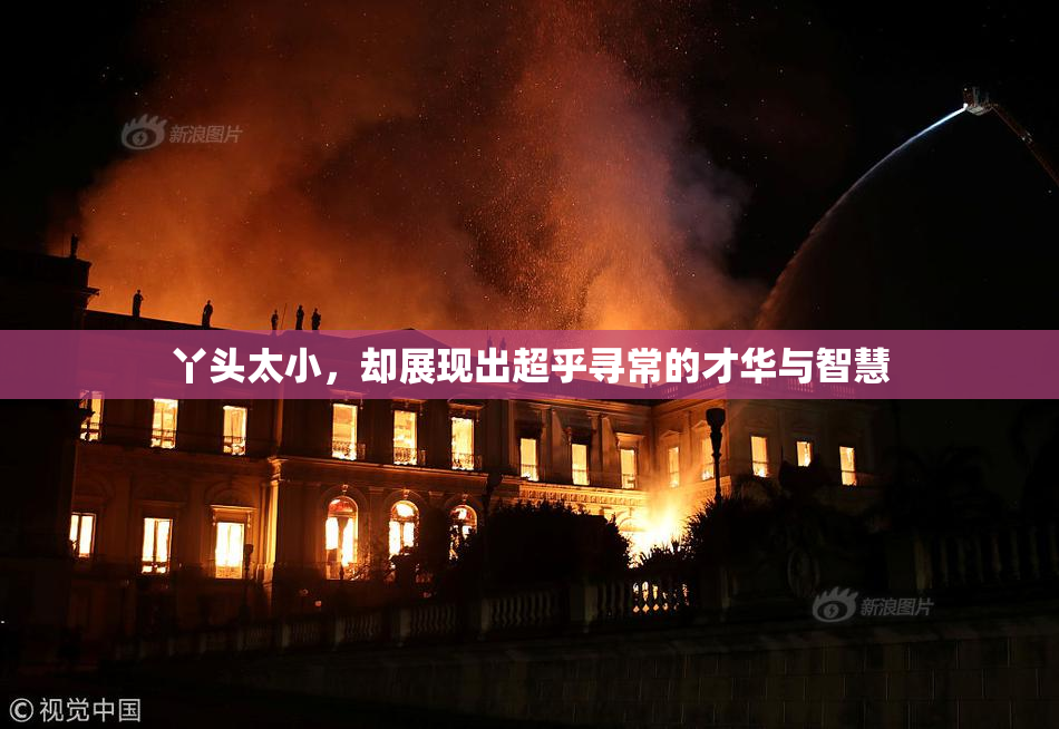 丫头太小，却展现出超乎寻常的才华与智慧