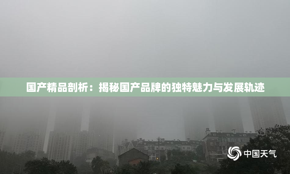 国产精品剖析：揭秘国产品牌的独特魅力与发展轨迹