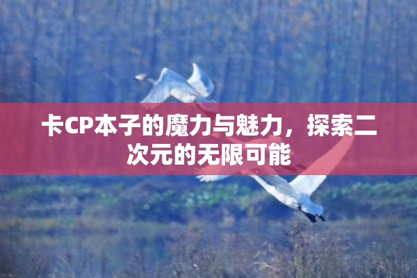 卡CP本子的魔力与魅力，探索二次元的无限可能