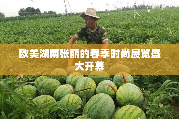 欧美湖南张丽的春季时尚展览盛大开幕