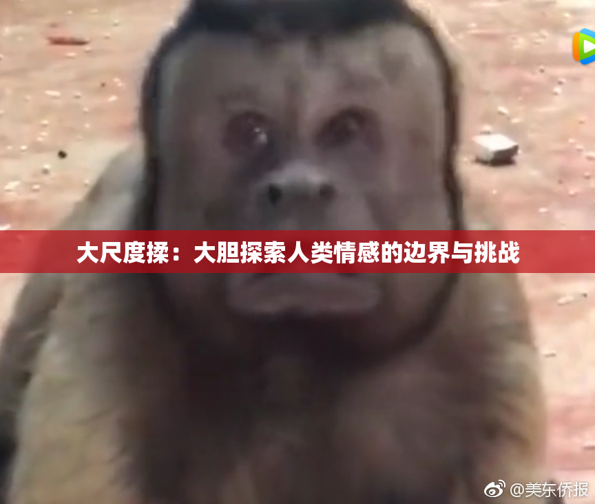 大尺度揉：大胆探索人类情感的边界与挑战