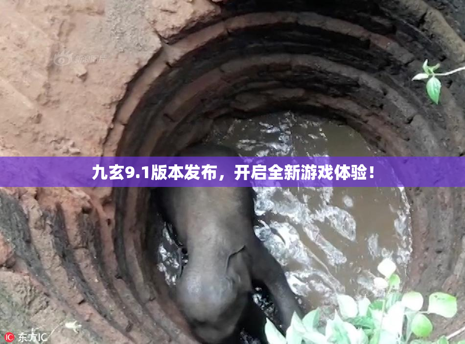 九玄9.1版本发布，开启全新游戏体验！