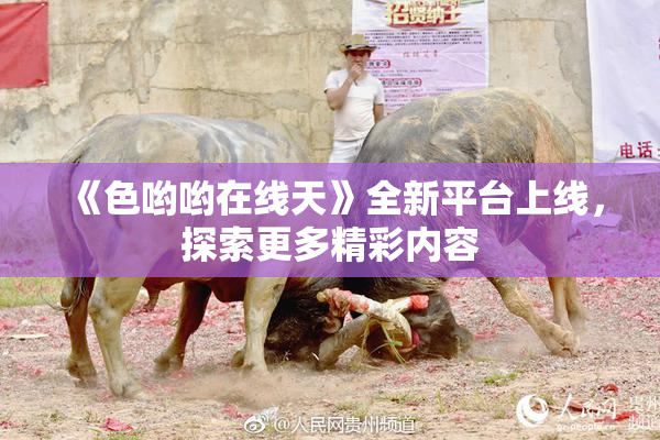 《色哟哟在线天》全新平台上线，探索更多精彩内容