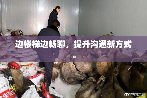边楼梯边畅聊，提升沟通新方式。