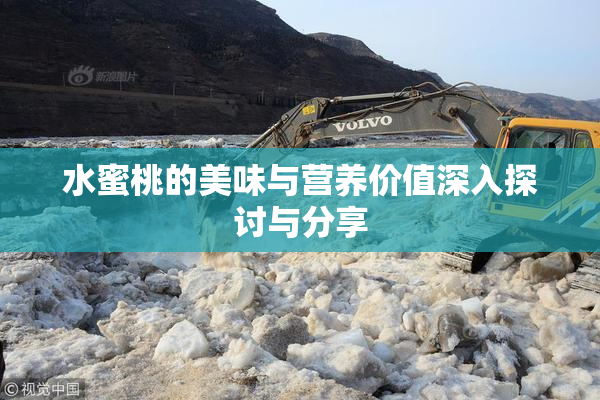 水蜜桃的美味与营养价值深入探讨与分享