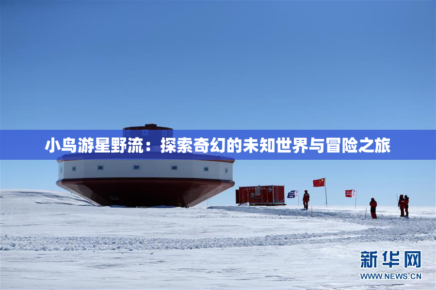 小鸟游星野流：探索奇幻的未知世界与冒险之旅