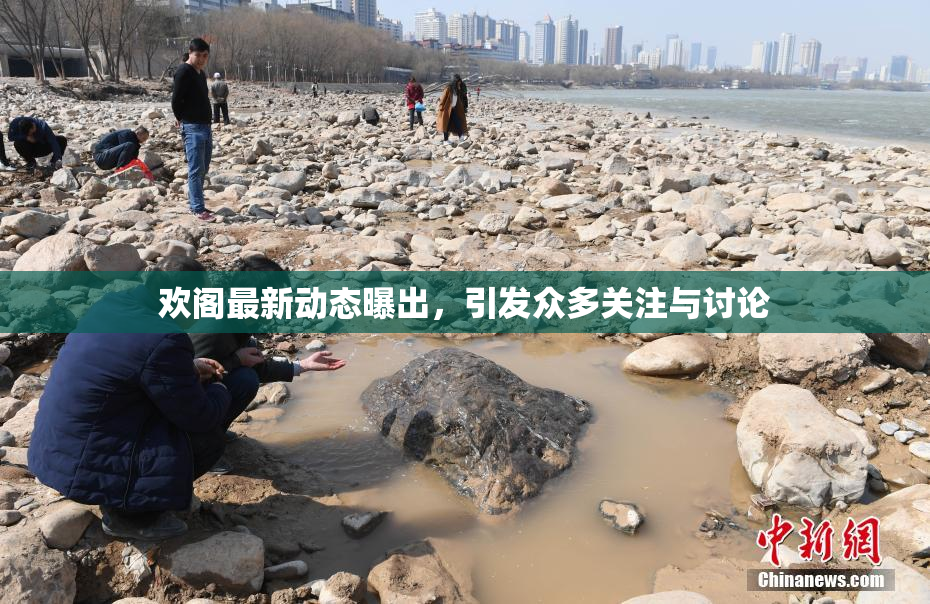欢阁最新动态曝出，引发众多关注与讨论