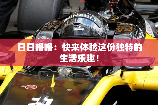 日日噜噜：快来体验这份独特的生活乐趣！