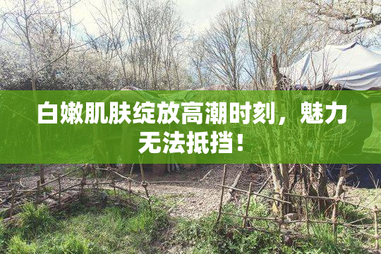 白嫩肌肤绽放高潮时刻，魅力无法抵挡！