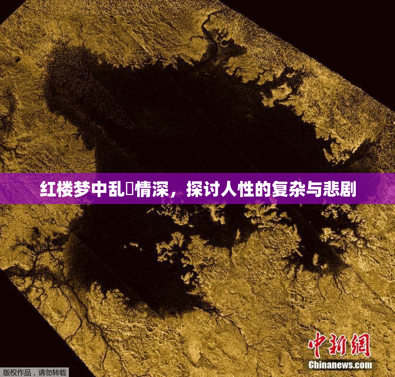 红楼梦中乱婬情深，探讨人性的复杂与悲剧