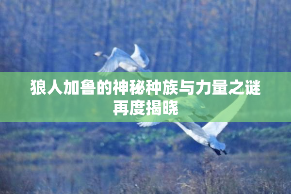 狼人加鲁的神秘种族与力量之谜再度揭晓