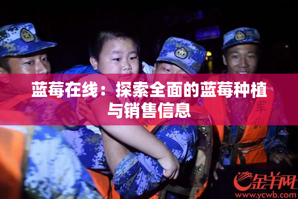 蓝莓在线：探索全面的蓝莓种植与销售信息