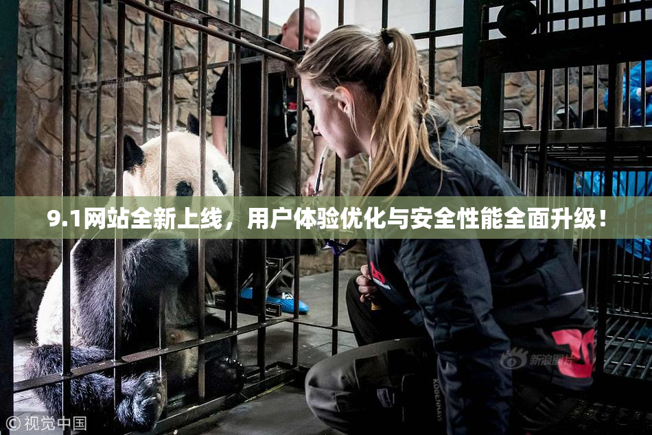 9.1网站全新上线，用户体验优化与安全性能全面升级！