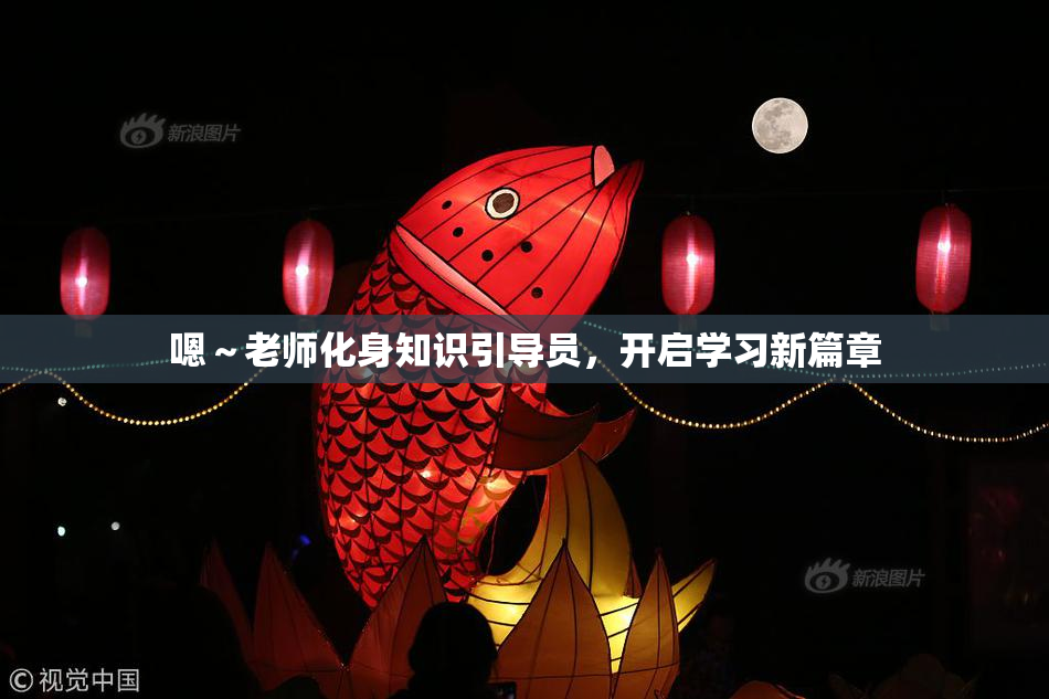 嗯～老师化身知识引导员，开启学习新篇章