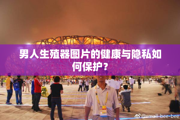 男人生殖器图片的健康与隐私如何保护？