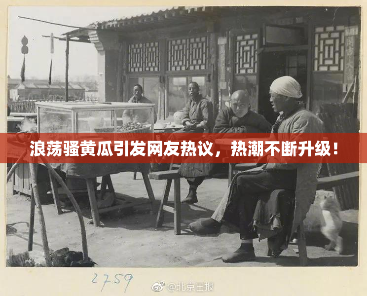 浪荡骚黄瓜引发网友热议，热潮不断升级！