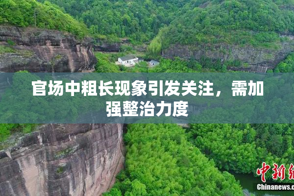 官场中粗长现象引发关注，需加强整治力度