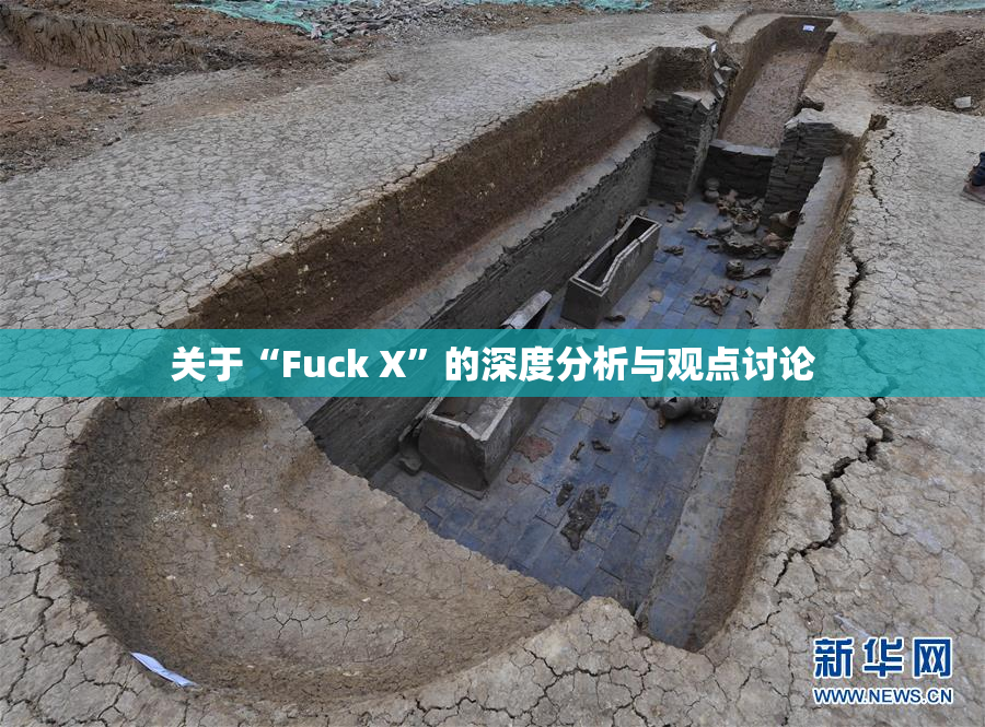 关于“Fuck X”的深度分析与观点讨论