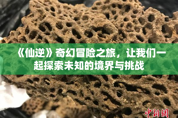 《仙逆》奇幻冒险之旅，让我们一起探索未知的境界与挑战