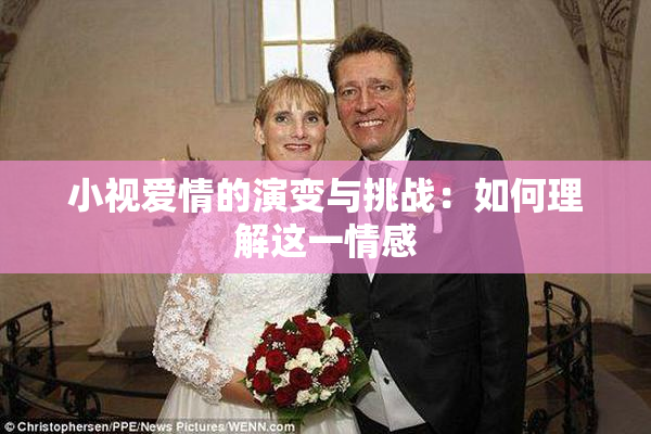 小视爱情的演变与挑战：如何理解这一情感