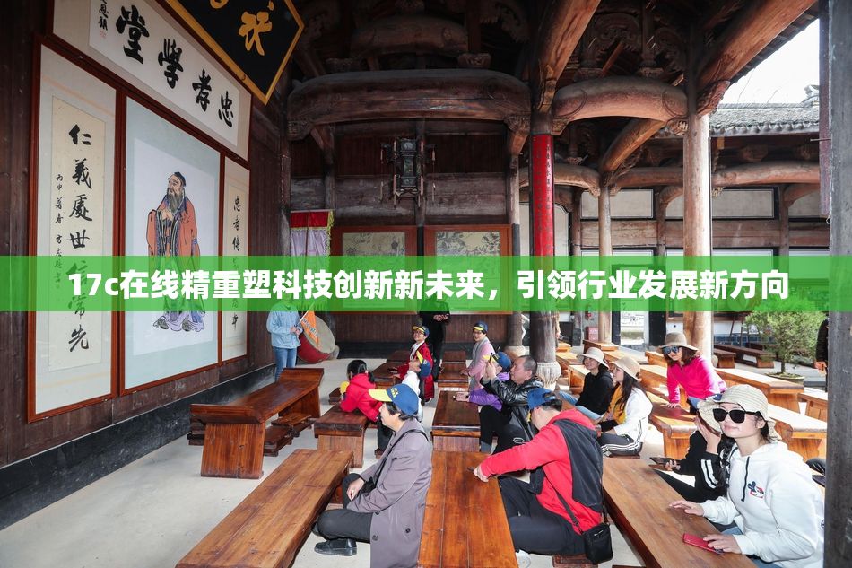 17c在线精重塑科技创新新未来，引领行业发展新方向