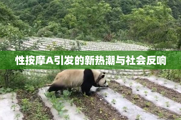 性按摩A引发的新热潮与社会反响