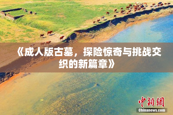 《成人版古墓，探险惊奇与挑战交织的新篇章》