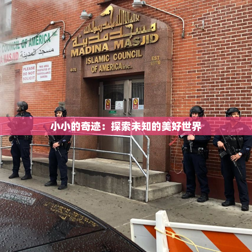 小小的奇迹：探索未知的美好世界
