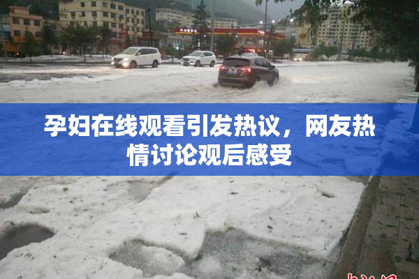 孕妇在线观看引发热议，网友热情讨论观后感受