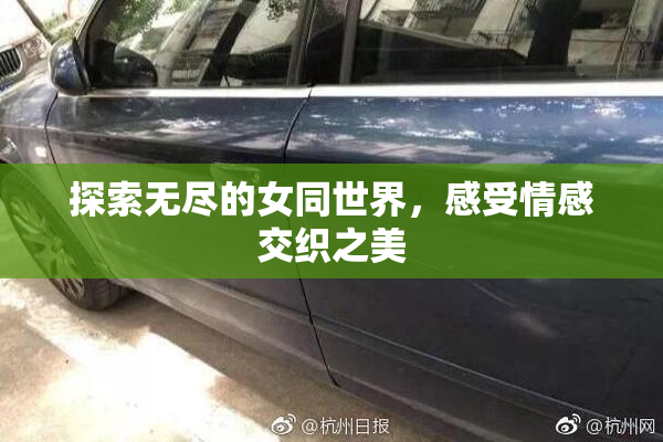 探索无尽的女同世界，感受情感交织之美