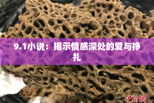 9.1小说：揭示情感深处的爱与挣扎