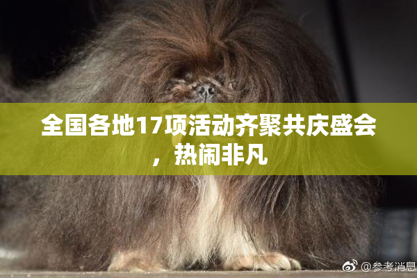 全国各地17项活动齐聚共庆盛会，热闹非凡