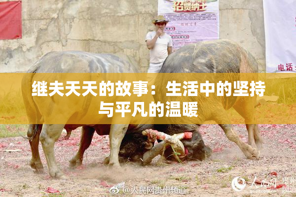 继夫天天的故事：生活中的坚持与平凡的温暖