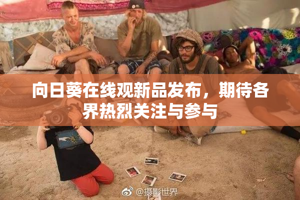 向日葵在线观新品发布，期待各界热烈关注与参与